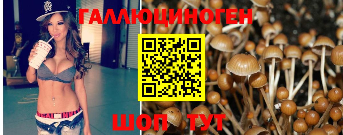 Галлюциногенные грибы GOLDEN TEACHER Ярцево